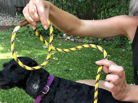 How To Use The Mendota Slip Lead — The Naked Dog Learn To Speak Dog