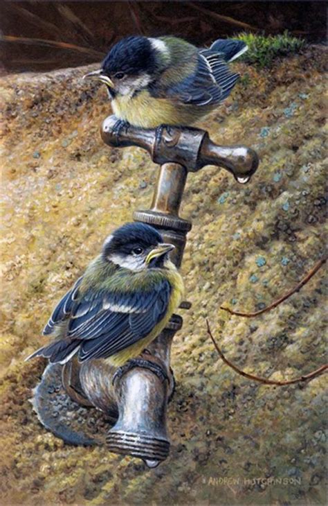 Painting By British Wildlife Artist And Naturalist Andrew Hutchinson