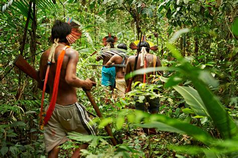 Keterlibatan Masyarakat Adat Dalam Pemantauan Deforestasi Hutan Di Peru