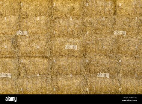 Densely Stacked Square Bales Of Straw In Close Up Stock Photo Alamy