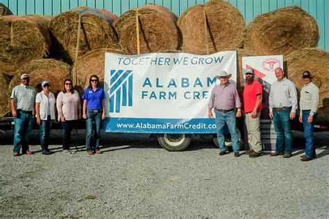 Get directions, reviews and information for alabama farm credit in cullman, al. Alabama Farm Credit donates hay to hurricane-hit cattle ...