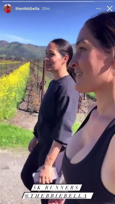 Nikki Bella With Bouncy Cleavage Jogging With Brie Bella Xhamster