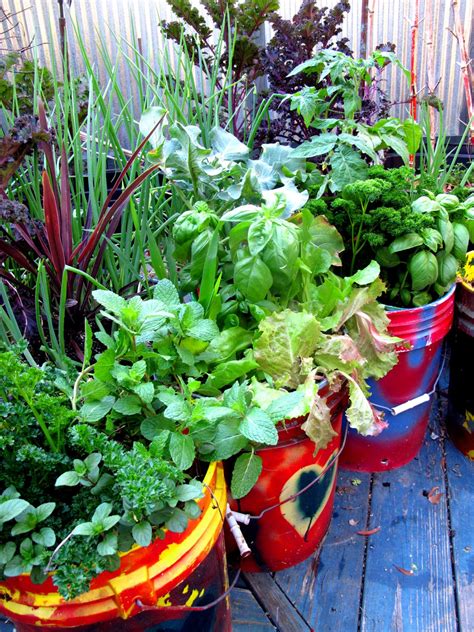 20 Best Veggies For Container Gardening
