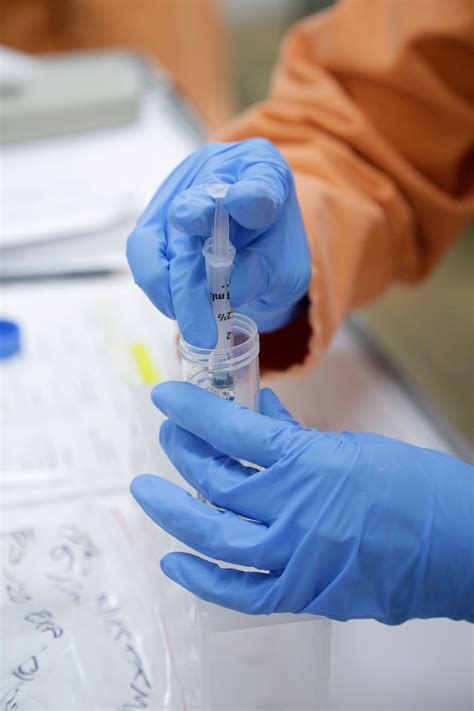 Copyright © 2021 anadolu agency/getty images. CSIRO begins testing Covid-19 vaccines - CSIRO