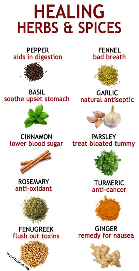 10 Healing Herbs And Spices The Little Shine