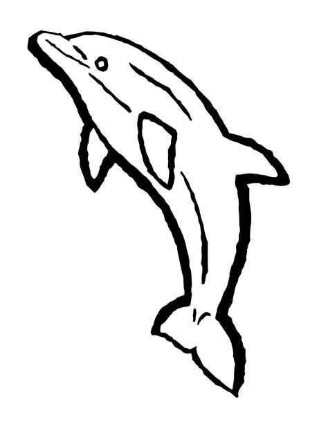 Dolphin Coloring Pages | Dolphin coloring pages, Shark coloring pages, Cartoon coloring pages
