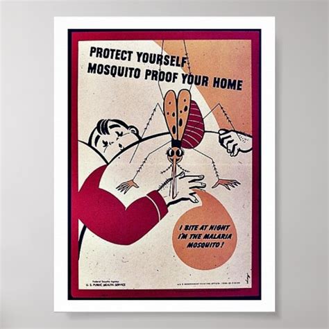 Mosquitoes Posters Mosquitoes Prints Art Prints Poster Designs
