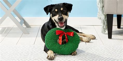 We did not find results for: 50 Best Gifts for Dog Lovers 2018 - Unique Dog Owner Gift ...