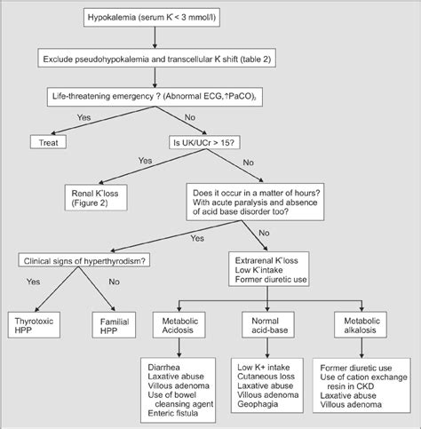 Hypokalemia Approach