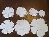 Photos of Paper Flower Templates And Instructions