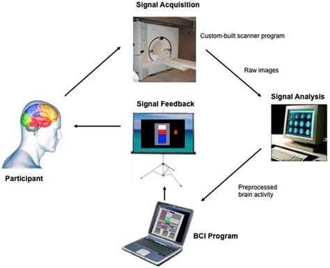 Brain Computer Interface How Can Computers Be Controlled By Human Brains