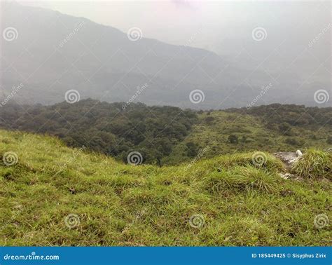 Green Meadows And Dense Forest In Kerala Stock Image Image Of Dense