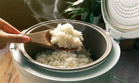 Longevity Of Rice In Rice Cooker How Long Can Rice Stay Fresh Planthd