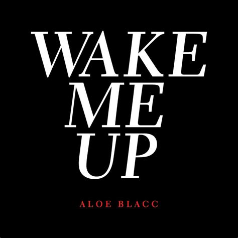 Aloe Blacc Musik Wake Me Up