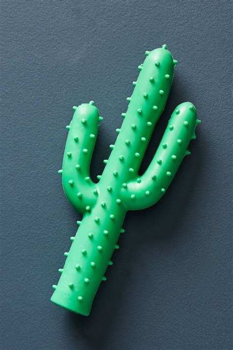 Made with a fabtoughtm liner on the outside and our patented technology on the inside, our unique bendie™ toys are outrageously fun for people and. Cactus Dog Toy | Dog toys, Dogs, Toys