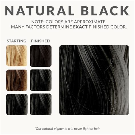 Natural Black Henna Hair Dye Henna Color Lab®