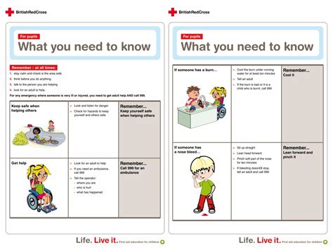 10 Best Printable First Aid Poster