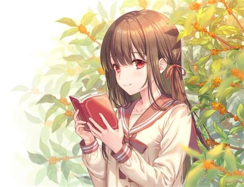 Wallpaper Anime School Girl Reading A Book Brown Hair