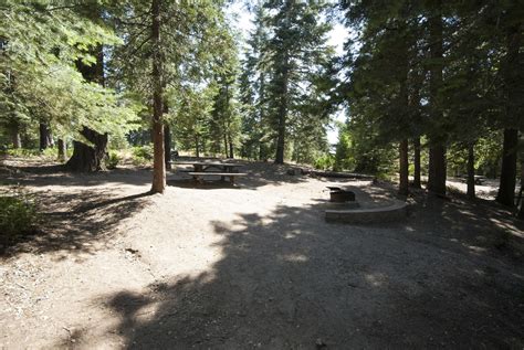 Western Woods Campground Go Camping America