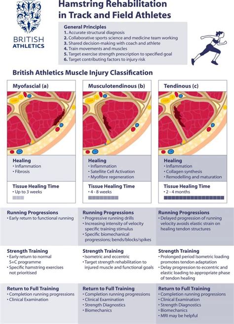 How To Treat And Prevent Muscle Strains Grand Slam Physio