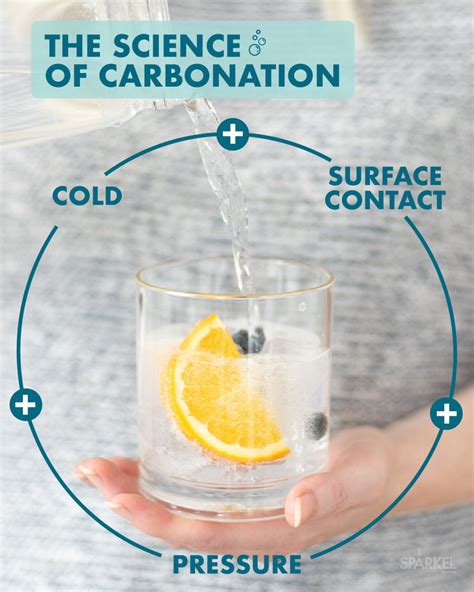 The Science Of Carbonation The Bubble By Spärkel