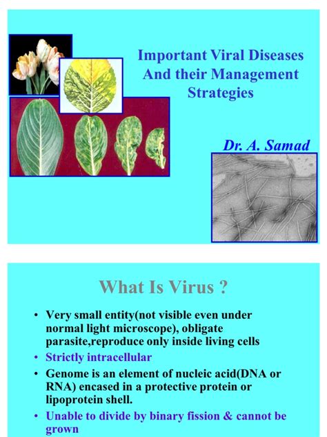 Pdf Important Viral Diseases And Their Management Strategies