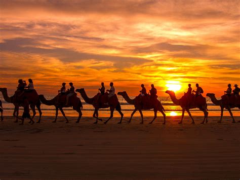 Leon maurice lyons on his wedding day, national archives of australia, a14290, 175on this day in three australians of the imperial camel corps take their breakfast from a 'funk hole' table in the. Tropical Destinations to run away to this Winter - Cocofrio