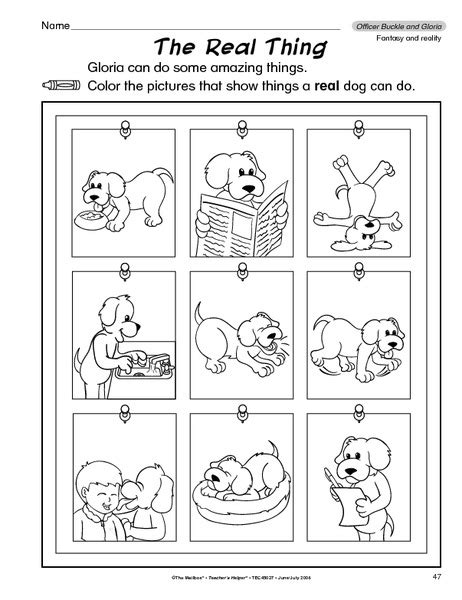 The Real Thing Worksheet For Kindergarten 2nd Grade Lesson Planet
