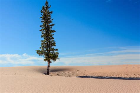 These Exotic Sand Dunes Are Actually Found In The Middle Of Canada