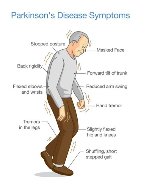 5 Stages Of Parkinsons Disease Livewell Private Care