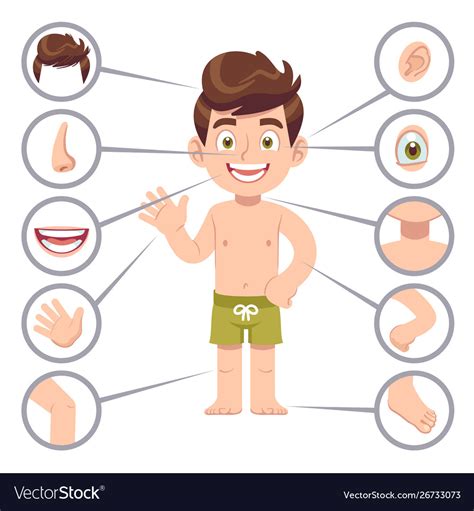 Udu hindi, kustu hindi, ödağacı, hindistan ödağacı, kustu bahri. Kid body parts human child boy with eye nose and Vector Image