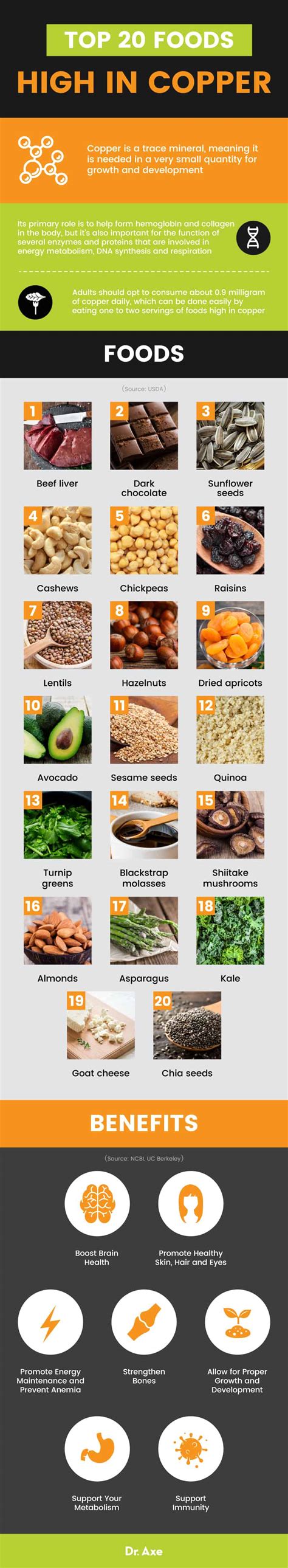 Foods High In Copper How To Get More Copper In Your Diet Dr Axe