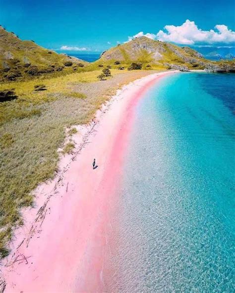 4 Fun Facts About Pink Beach Of Labuan Bajo Mansago