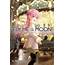Buy TPB Manga  Fly Me To The Moon Vol 05 GN Archoniacom