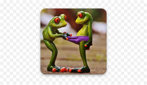 Funny Stickers Cute Red Eyed Tree Frog Emoji Dirty Messenger