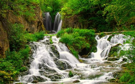 Small Forest River With Beautiful Waterfalls Coast Green Grass Bushes