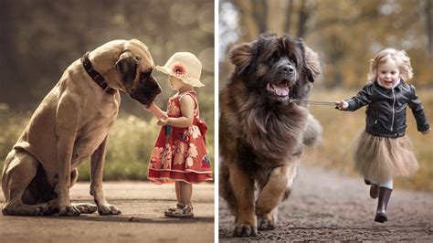 These 30 Adorable Photos Of Little Kids With Big Dogs Are Taking The