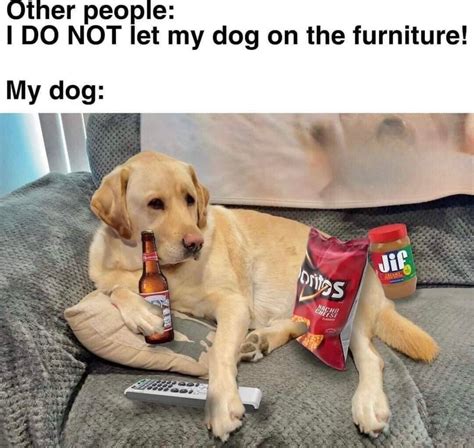 Doggo Meme Subido Por Dogeloaf Memedroid