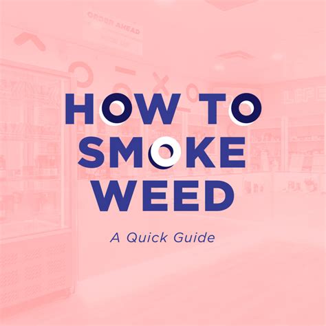 Dank Dispensary A Beginners Guide To A First Time High
