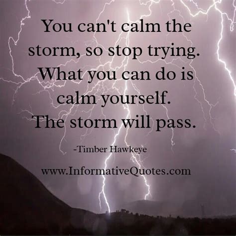 You Cant Calm The Storm So Stop Trying Informative Quotes