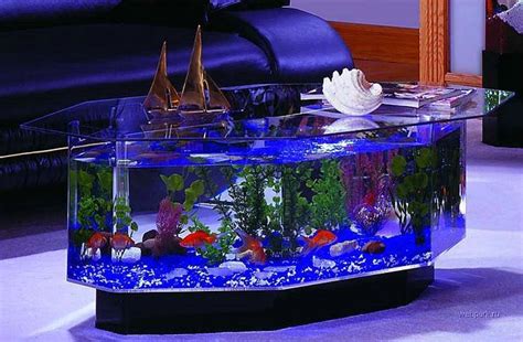 The fish tank coffee table for sale available on the site are made of different materials such as wood, aluminum, marble, steel, glass and so on, so that you can pick the best one to go with your existing decor. Age Of Aquariums