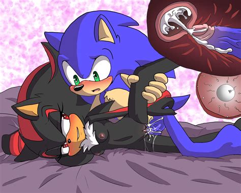 Shadow The Hedgehog Sth Персонажи Sonic