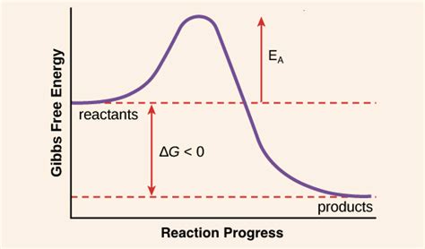 This assumes that the reaction proceeds back and forth via the same steps. Chemical Energy Drawing at GetDrawings | Free download