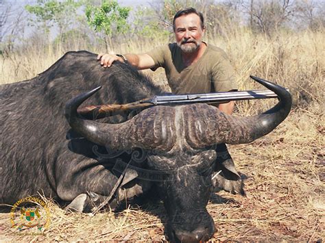 Cape Buffalo Hunting Consortium The Cape Buffalo Is One Of Africas