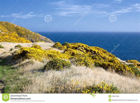 Beautiful New Zealand Landscape Stock Photo Image Of