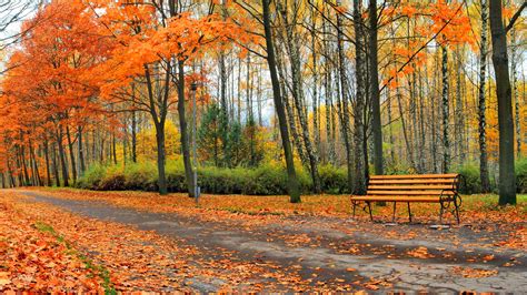 Wallpaper Beautiful Autumn Park Trees Leaves Bench 3840x2160 Uhd 4k Picture Image
