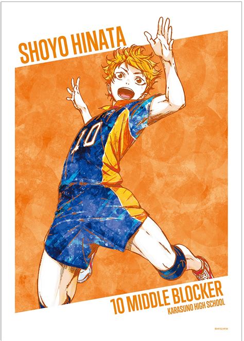 Haikyu Shoyo Hinata Ani Art Vol2 A3 Matte Processing Poster