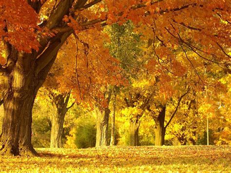 Wallpapers Beautiful Autumn Scenery Wallpapers