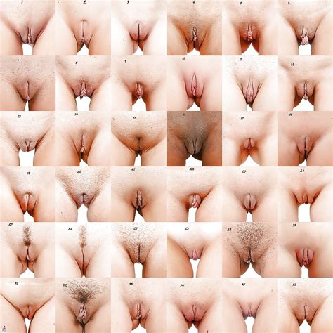 Types Of Pussy Hair Styles Porn Videos Newest Naked Vagina Hairy