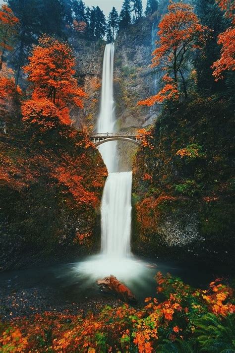 Fall Color At Beautiful Multnomah Falls In The Columbia River Gorge